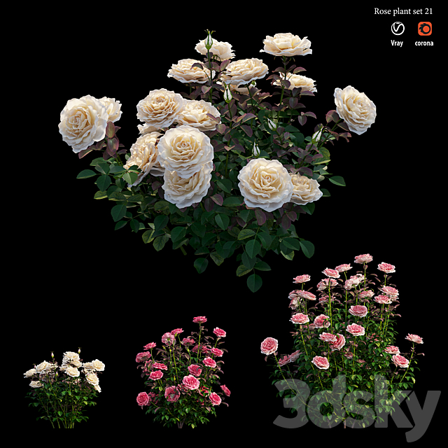 Rose plant set 21 3DS Max Model - thumbnail 4