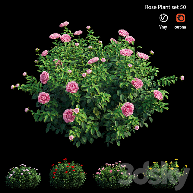 Rose plant set 50 3ds Max - thumbnail 1