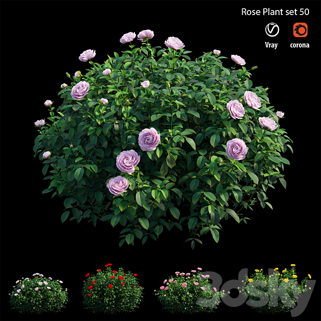 Rose plant set 50 3ds Max - thumbnail 2