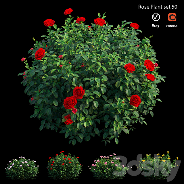 Rose plant set 50 3ds Max - thumbnail 3