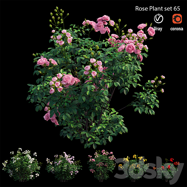 Rose plant set 65 3DSMax File - thumbnail 2