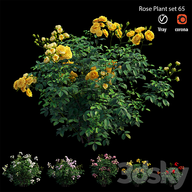 Rose plant set 65 3DSMax File - thumbnail 3