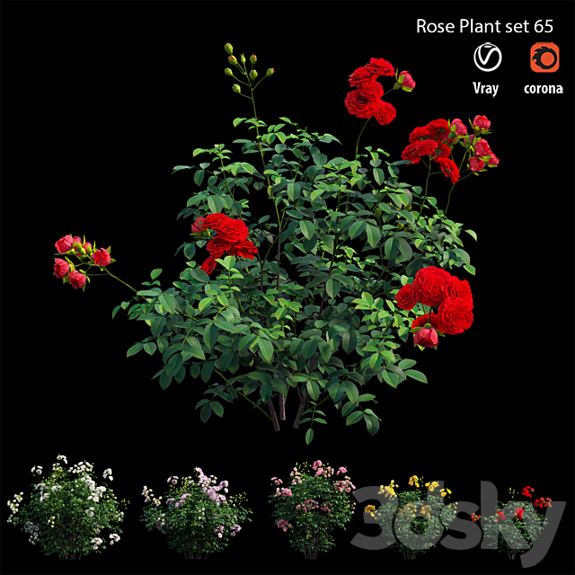 Rose plant set 65 3DSMax File - thumbnail 4