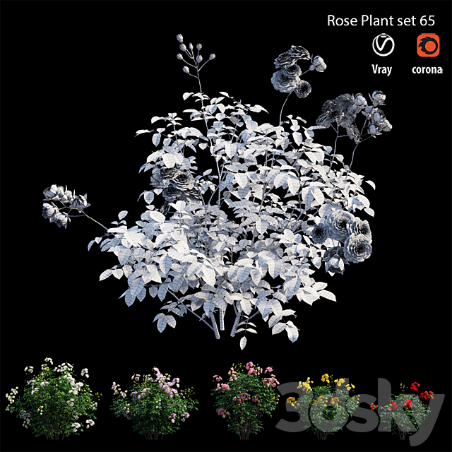 Rose plant set 65 3DSMax File - thumbnail 5