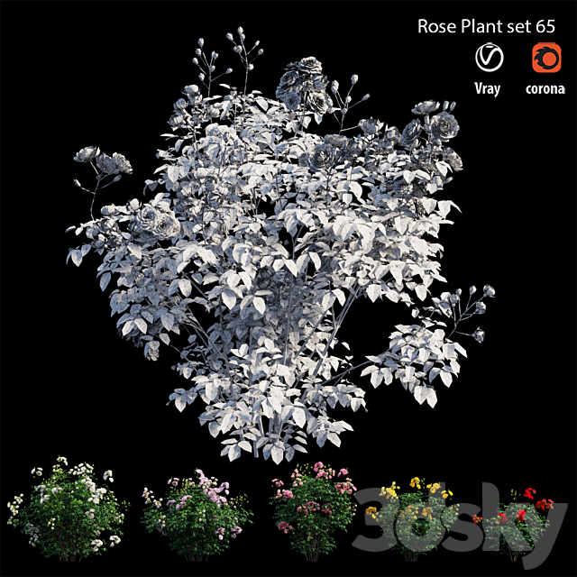 Rose plant set 65 3DSMax File - thumbnail 6