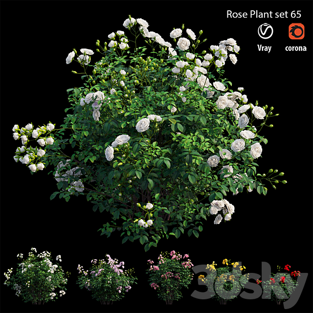 Rose plant set 65 3DSMax File - thumbnail 7