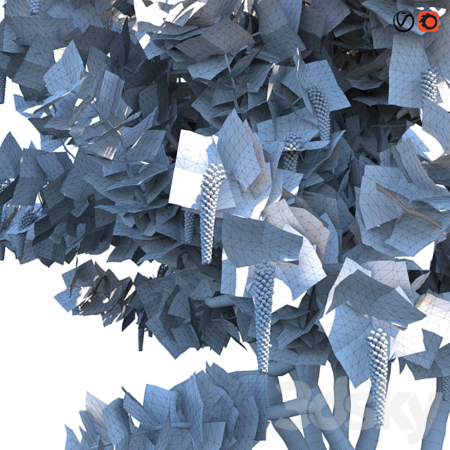 Seagrape \\ Sea grapes 3DS Max Model - thumbnail 3