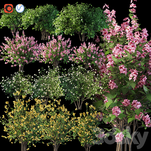 Set flowering shrubs 4 3DSMax File - thumbnail 1