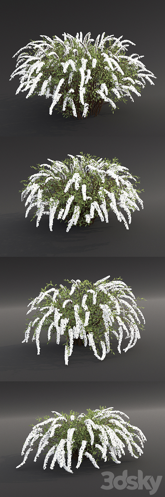 Spirea Grefsheim 3DSMax File - thumbnail 2