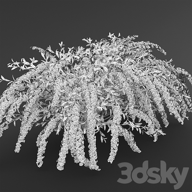 Spirea Grefsheim 3DSMax File - thumbnail 3