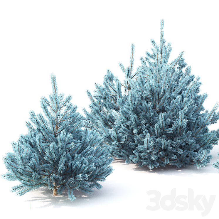 Spruce 3DS Max - thumbnail 2