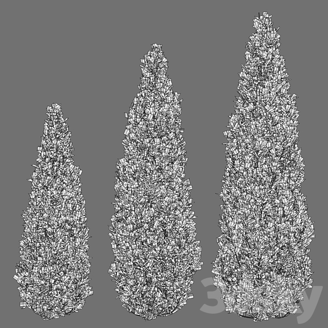 Thuja 3DSMax File - thumbnail 3