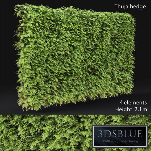 Thuja hedge 3DS Max - thumbnail 3