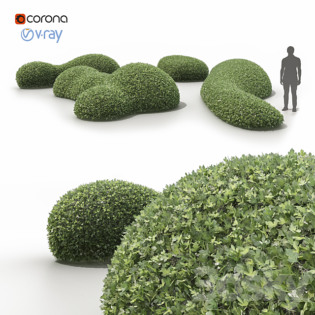 Topiary bushes _ Topiary bushes 3ds Max - thumbnail 1