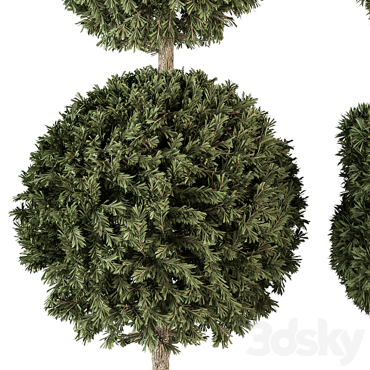 Topiary shape Bush – Bush Set 65 3DS Max - thumbnail 2