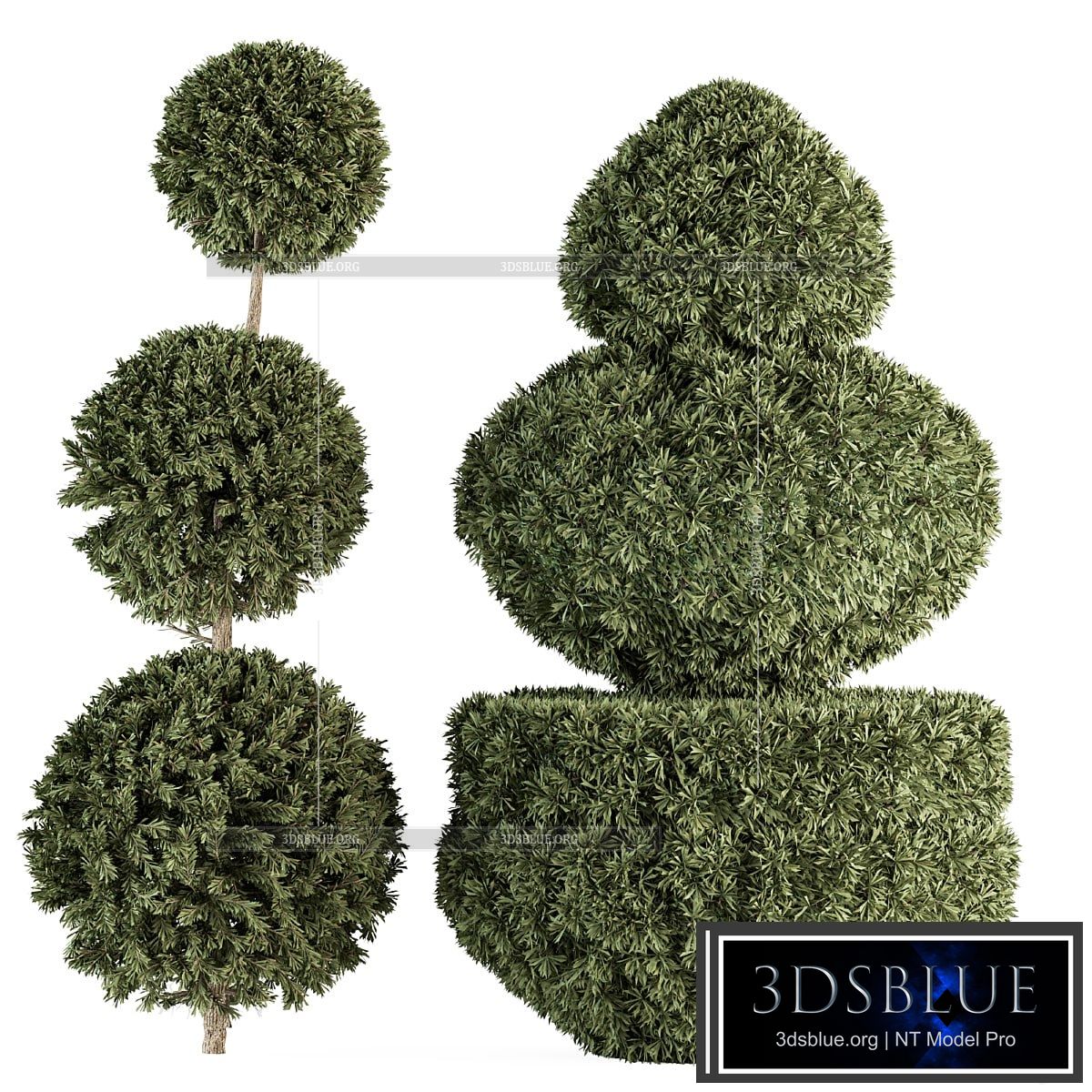Topiary shape Bush – Bush Set 65 3DS Max - thumbnail 3