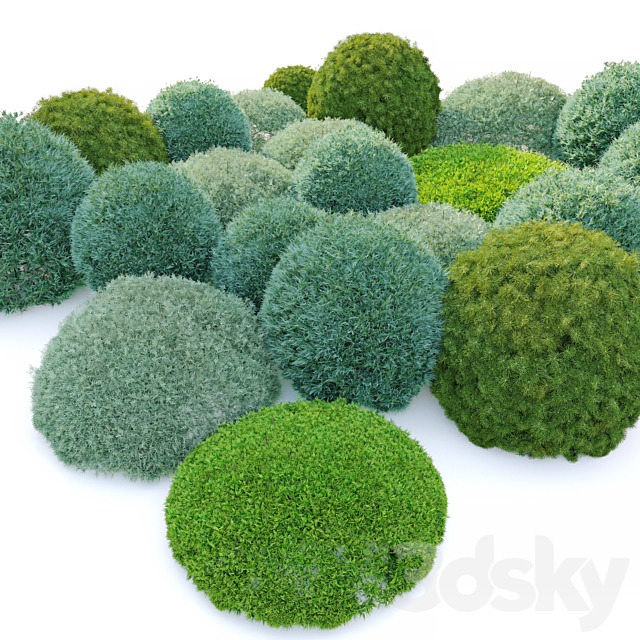 Topiary shrubs 3ds Max - thumbnail 2