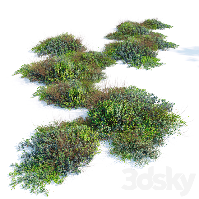 wild bush 3ds Max - thumbnail 3