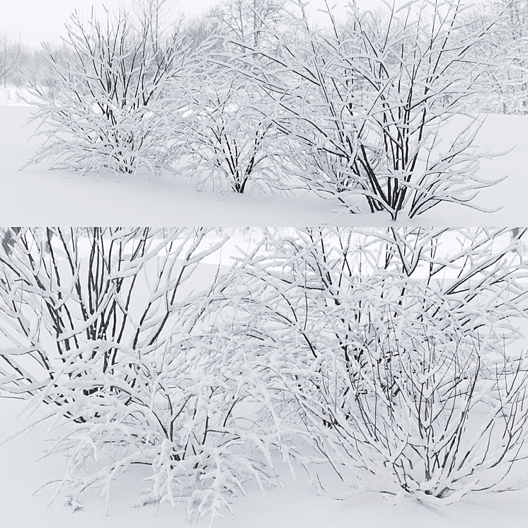 Winter bushes # 1 3DS Max Model - thumbnail 2