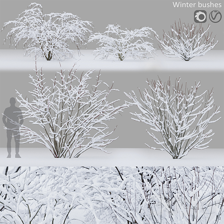Winter bushes # 1 3DS Max Model - thumbnail 3