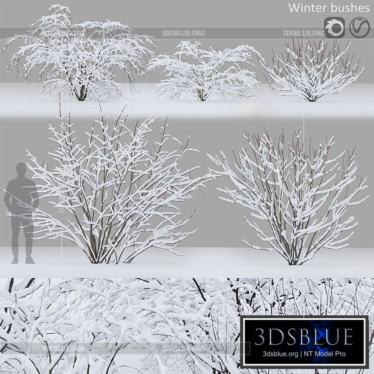 Winter bushes # 1 3DS Max - thumbnail 3