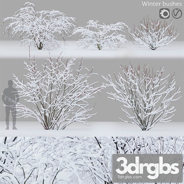 Winter bushes - thumbnail 1