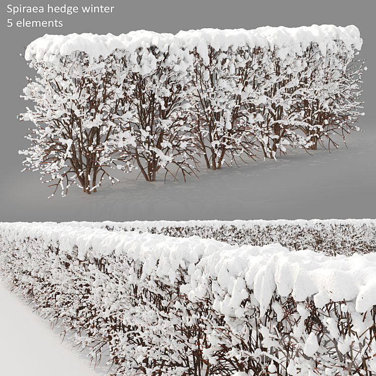 Winter hedge 3DS Max - thumbnail 1