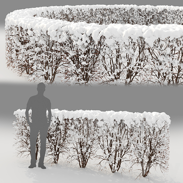 Winter hedge 3DS Max - thumbnail 2