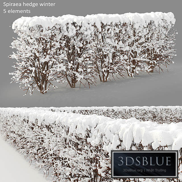 Winter hedge 3DS Max - thumbnail 3