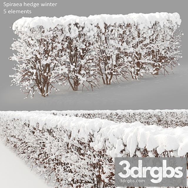 Winter hedge - thumbnail 1