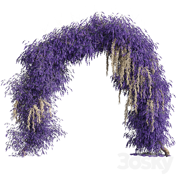 Arch of lavender flowers 3DS Max Model - thumbnail 1