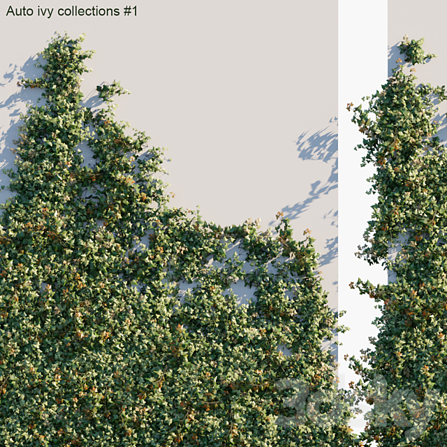 Auto ivy collections # 1 3DS Max Model - thumbnail 2