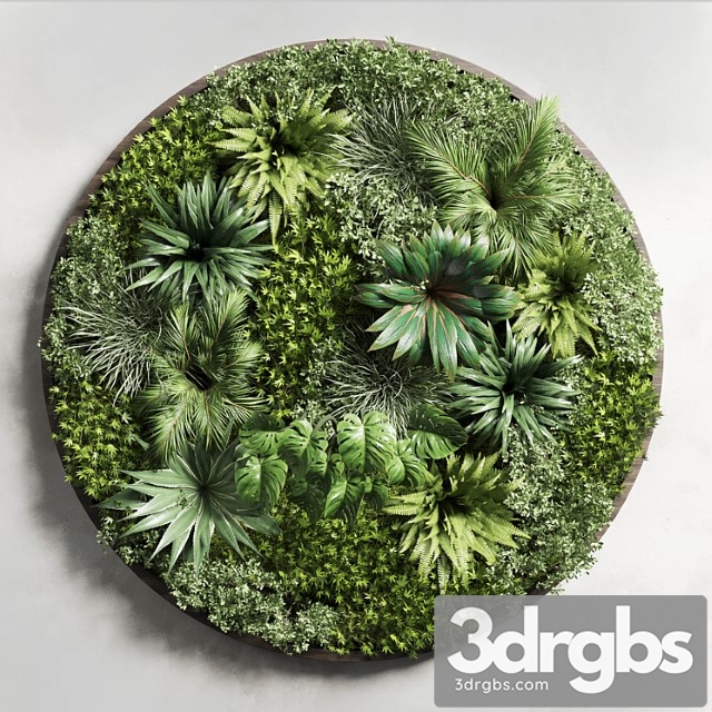 Circular fitowall – standing garden – vertical garden from indoor and outdoor plants collection 13t collections - thumbnail 1