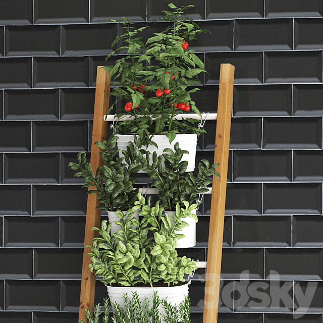 Collection of plants kitchen garden vegetable garden in pots buckets railing ladder black tile apron with vegetables tomatoes rosemary basil Vertical landscaping. Set 35. 3ds Max - thumbnail 2