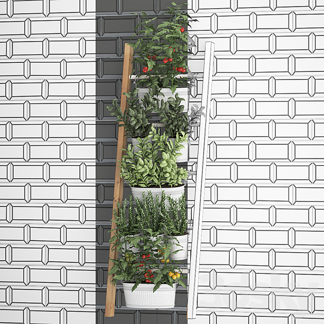 Collection of plants kitchen garden vegetable garden in pots buckets railing ladder black tile apron with vegetables tomatoes rosemary basil Vertical landscaping. Set 35. 3ds Max - thumbnail 3