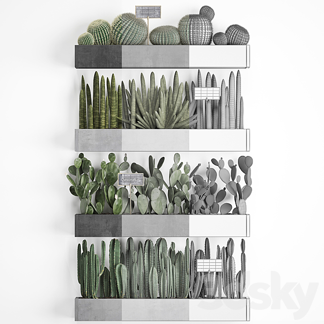 Collection of plants vertical gardening in wooden wall-mounted black pots shelves with Cacti cereus sansevieria Prickly pear. Set 43. 3DS Max Model - thumbnail 3