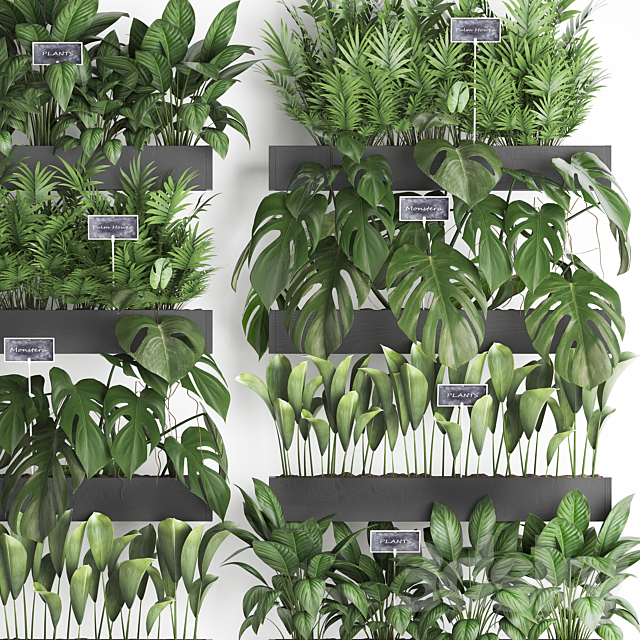 Collection of plants vertical gardening in wooden wall-mounted black pots shelves with monstera areca palm bush. Set 41. 3DS Max Model - thumbnail 2