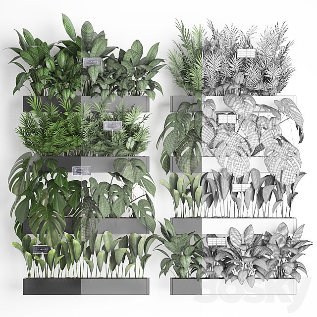 Collection of plants vertical gardening in wooden wall-mounted black pots shelves with monstera areca palm bush. Set 41. 3DS Max Model - thumbnail 3