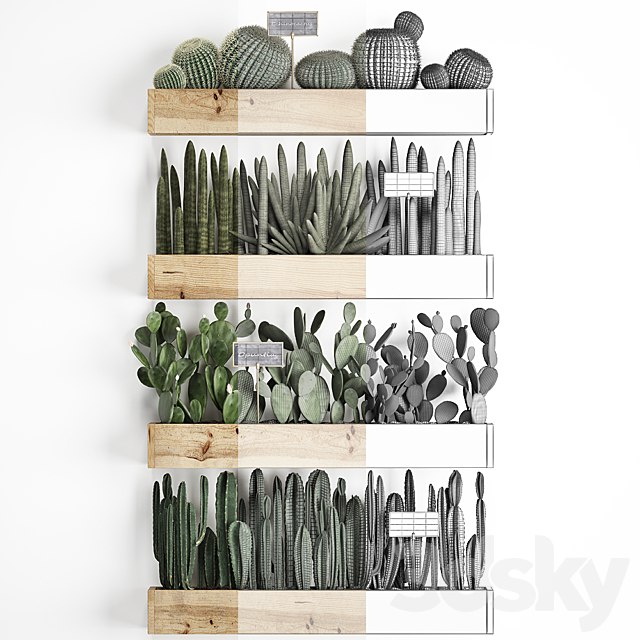 Collection of plants vertical gardening in wooden wall pots shelves with Cacti. cereus. sansevieria. Prickly pear. Set 42. 3DSMax File - thumbnail 3