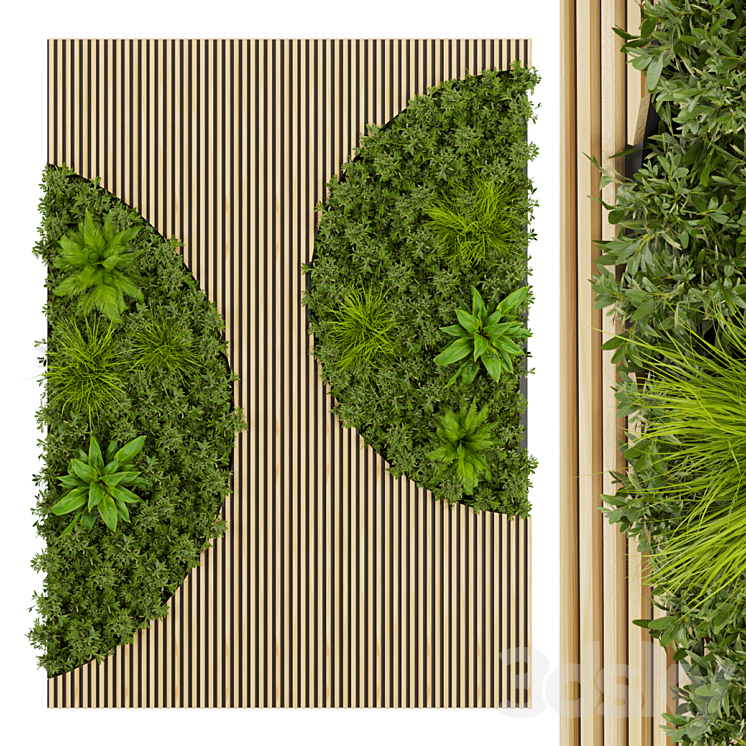 Collection plant vol 331 – fitowall – leaf 3DS Max Model - thumbnail 1