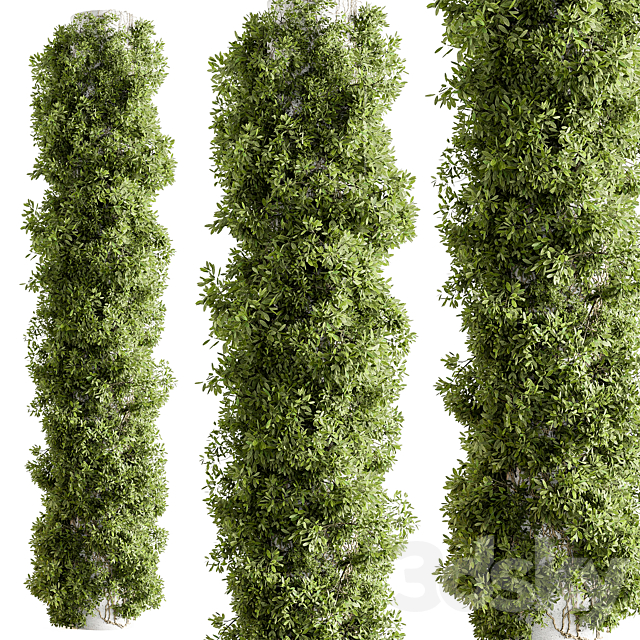 Column Vertical Garden – Wall Decor 93 3DS Max Model - thumbnail 2