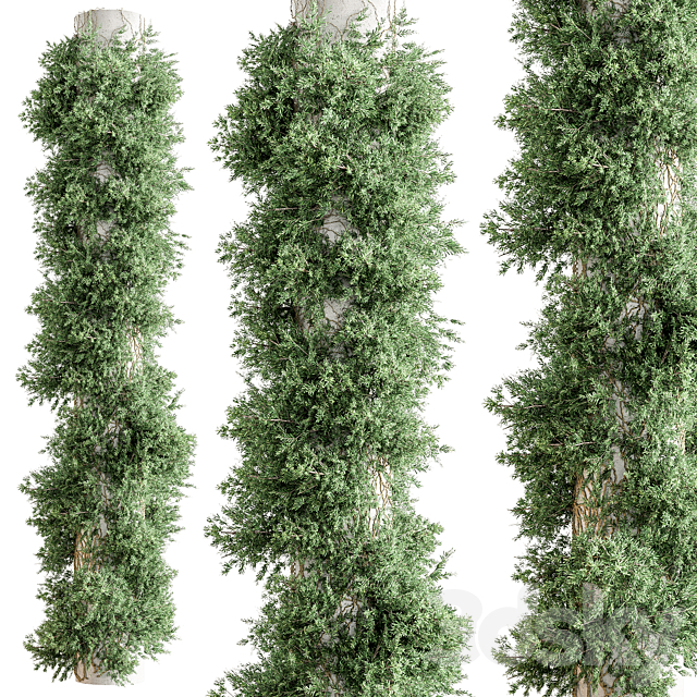 Column Vertical Garden – Wall Decor 93 3DS Max Model - thumbnail 3