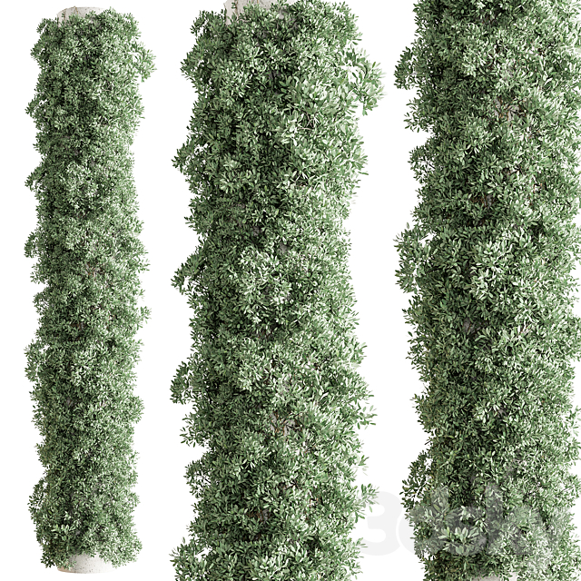 Column Vertical Garden – Wall Decor 93 3DS Max Model - thumbnail 4