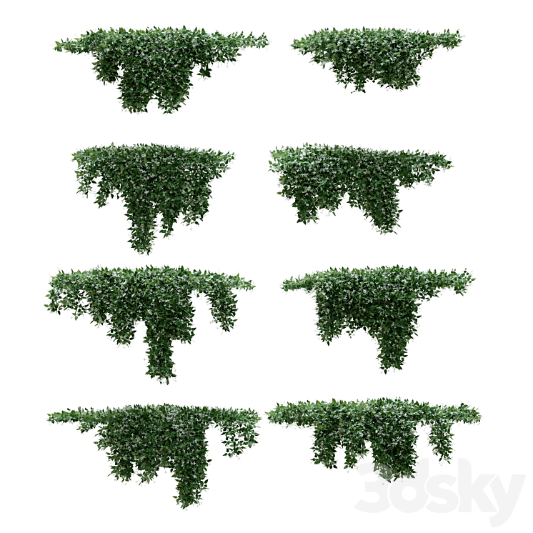 Creeper – Clematis Glycinoides – 8 Modular Pieces 3DS Max - thumbnail 2