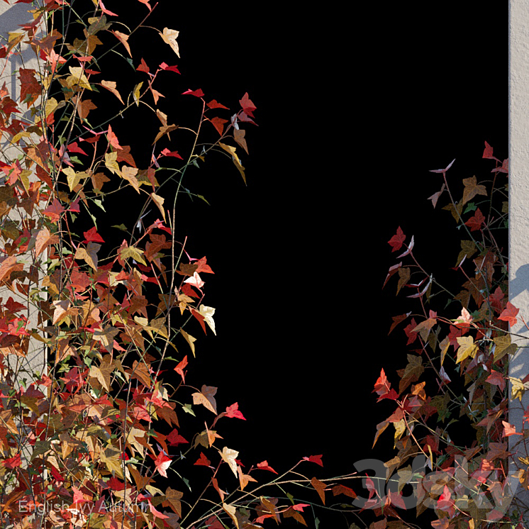 English Ivy Autumn 3DS Max - thumbnail 2