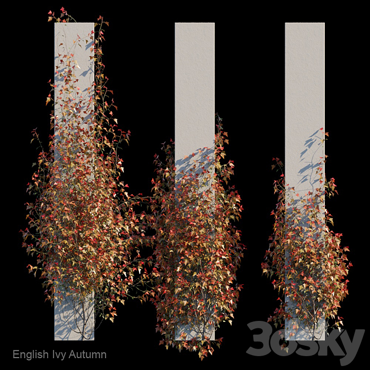 English Ivy Autumn 3DS Max - thumbnail 1