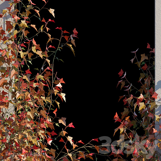 English Ivy Autumn 3DSMax File - thumbnail 2