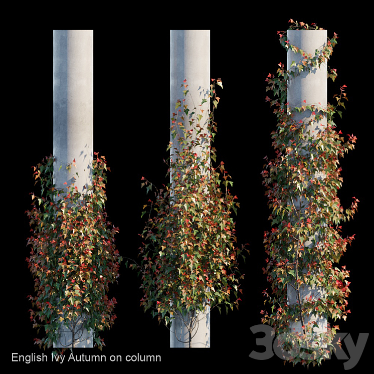 English Ivy Autumn on column 3DS Max - thumbnail 1