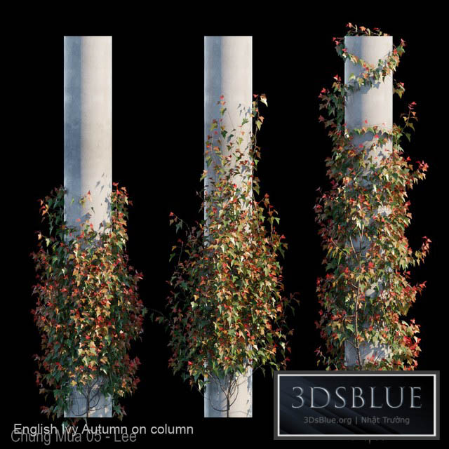 English Ivy Autumn on column 3DS Max - thumbnail 3