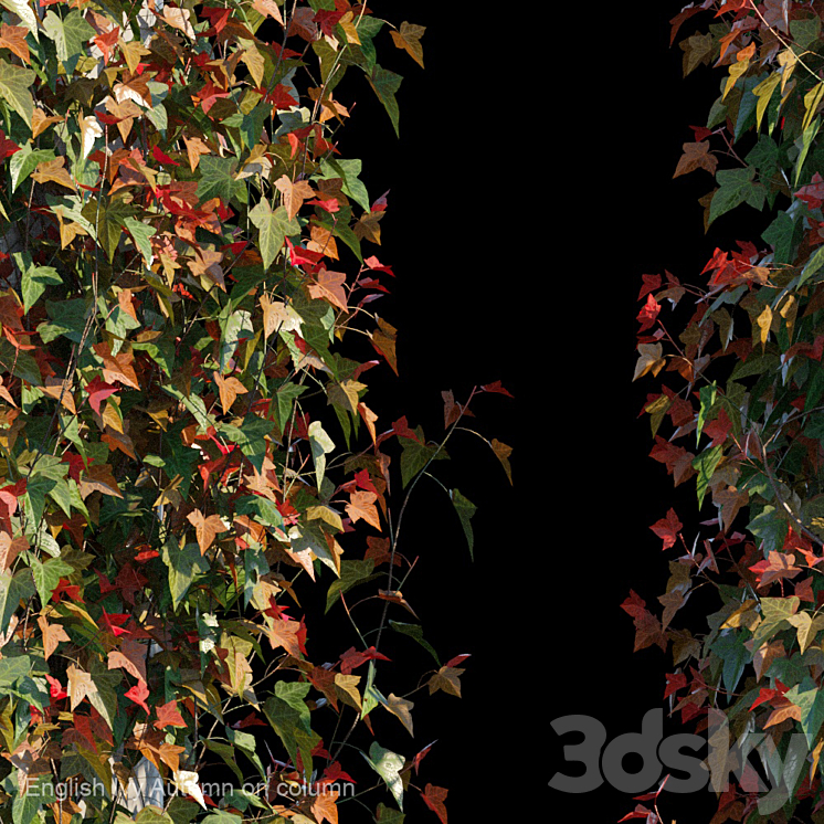 English Ivy Autumn on column 3DS Max - thumbnail 2